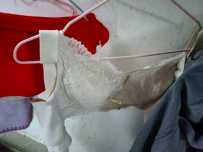 ¥����ɹ���¿�