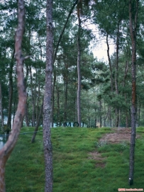 �ҵĳ�����ϱ��7P