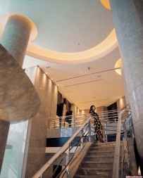 �������ڸ߲�Ƶ�6P