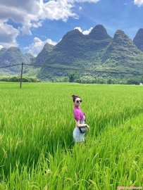 ɹһ�¿�30������4P